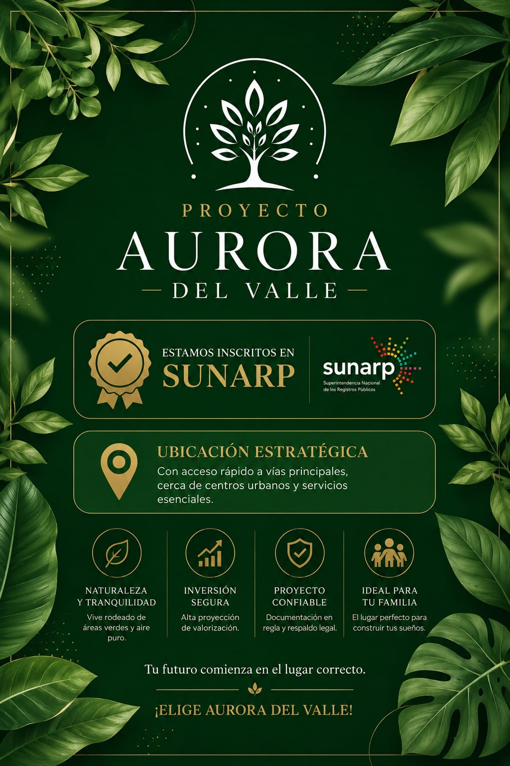 Aurora del Valle